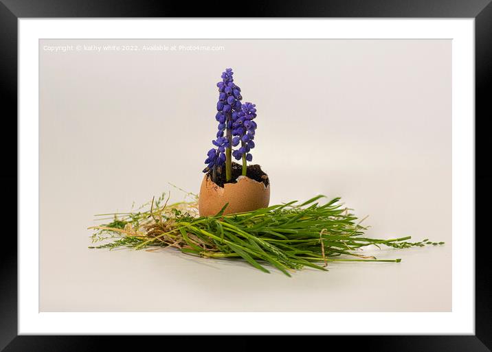  Grape hyacinths wild flowers Framed Mounted Print by kathy white