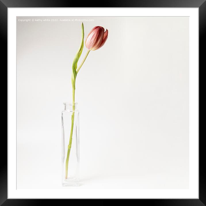 one red tulip Framed Mounted Print by kathy white