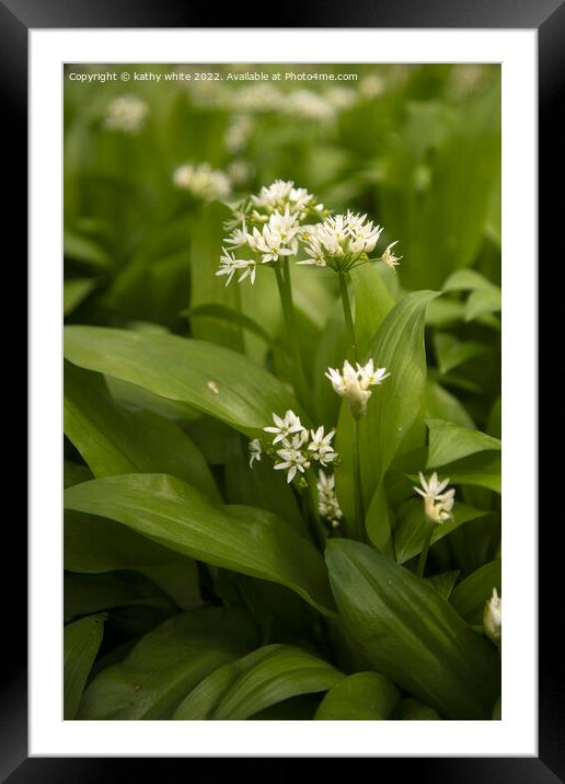 Wild Garlic Framed Mounted Print by kathy white