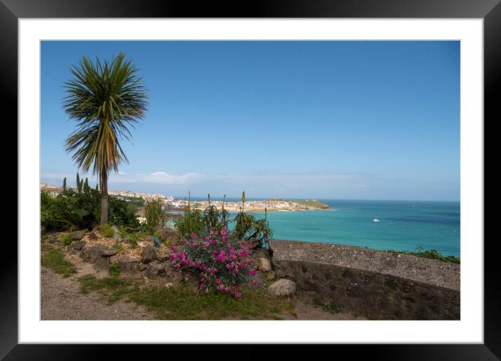 Palm tree St Ives Cornwall Framed Mounted Print by kathy white