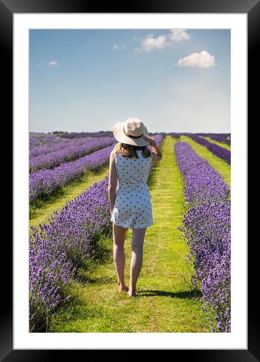 walking in  lavender  Framed Mounted Print by kathy white
