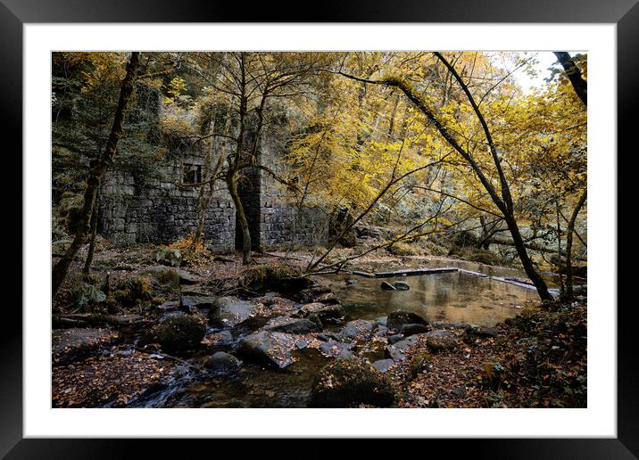 Tranquil Autumnal Beauty Framed Mounted Print by kathy white