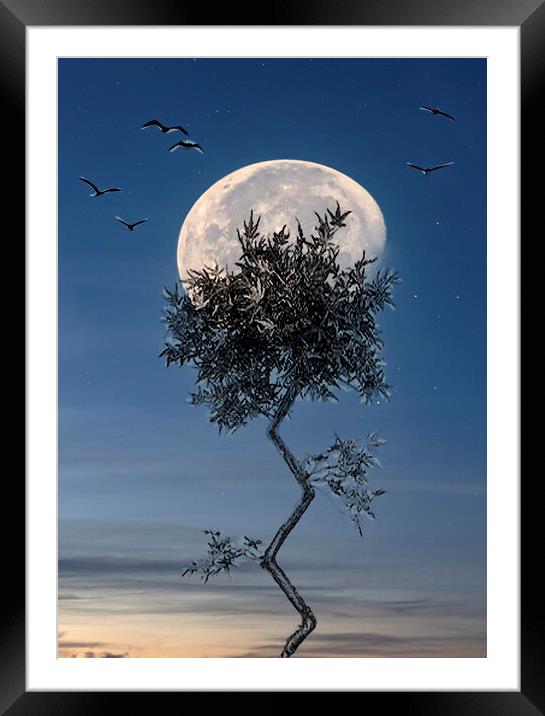 fly me to the moon Framed Mounted Print by kathy white