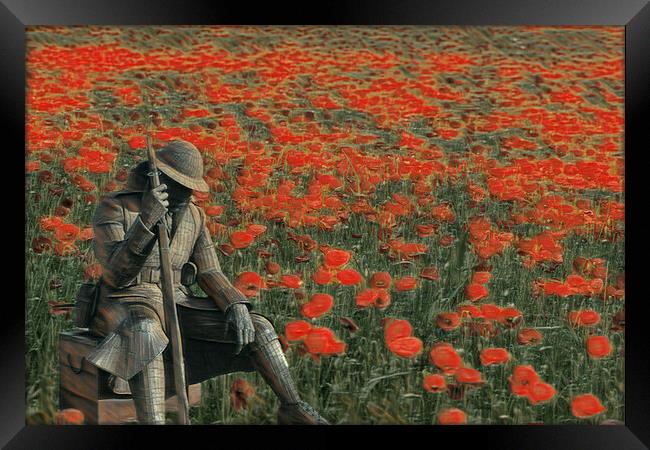 soldier in a  poppy field  Framed Print by kathy white