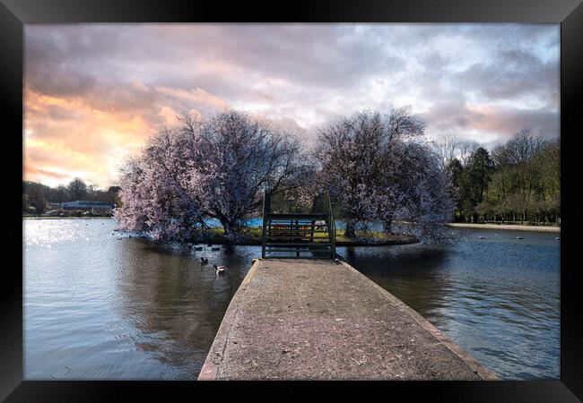 Helston boating lake sunset Framed Print by kathy white