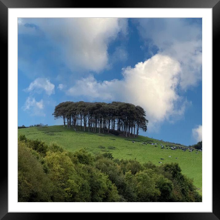 Coming Home trees A30 Framed Mounted Print by kathy white
