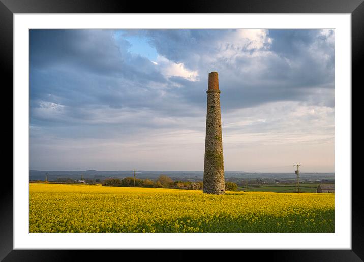 Rapeseed field sunset in cornwall, Framed Mounted Print by kathy white