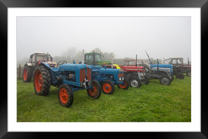 Group of Ferguson tractors Framed Mounted Print by kathy white