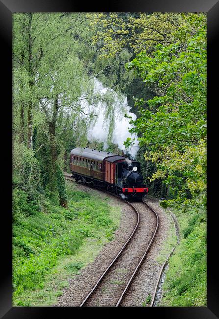 Steam train threw the woods Framed Print by kathy white