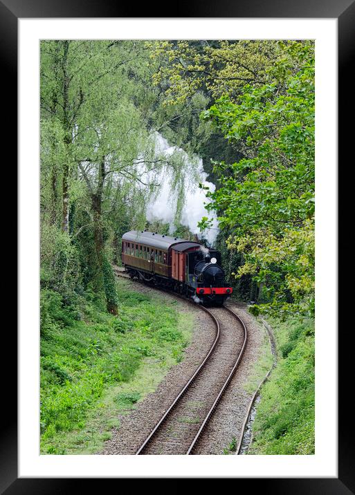 Steam train threw the woods Framed Mounted Print by kathy white
