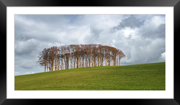 Nearly Home Trees, Coming home trees, Cornwall trees Cookworthy  Framed Mounted Print by kathy white