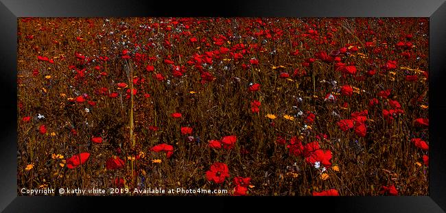 A field of red  flowering poppies  inCornwall  Framed Print by kathy white