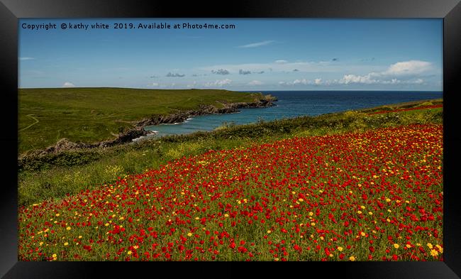 West Pentire ,Red poppies and Corn Marigold  Framed Print by kathy white