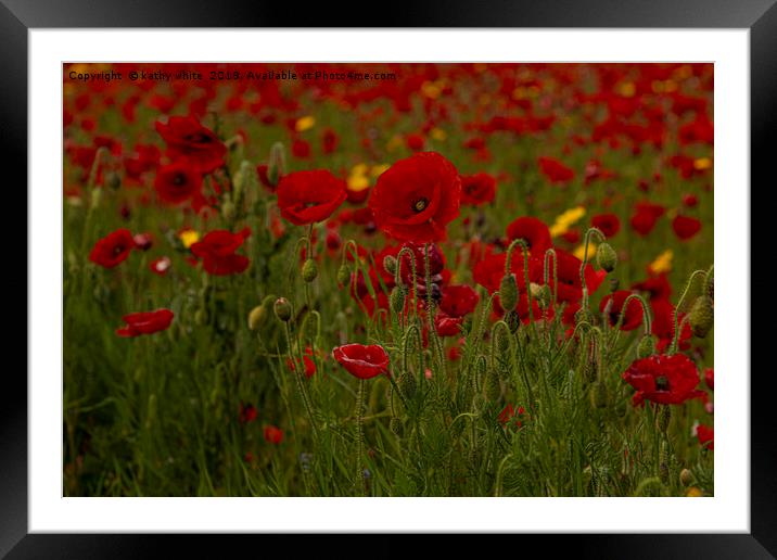 wildflower s,Red poppies of West Pentire  Cornwall Framed Mounted Print by kathy white