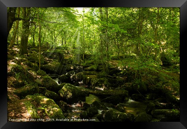 Kennall Vale nature reserve Framed Print by kathy white