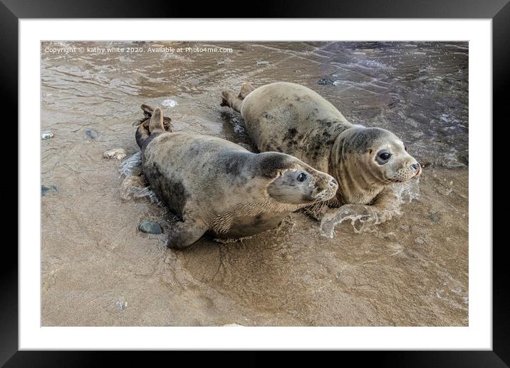 grey seals playing in the water Framed Mounted Print by kathy white
