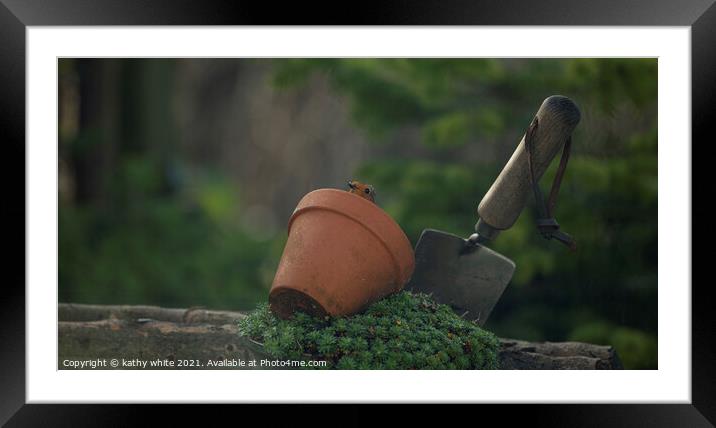 robin in my garden Framed Mounted Print by kathy white