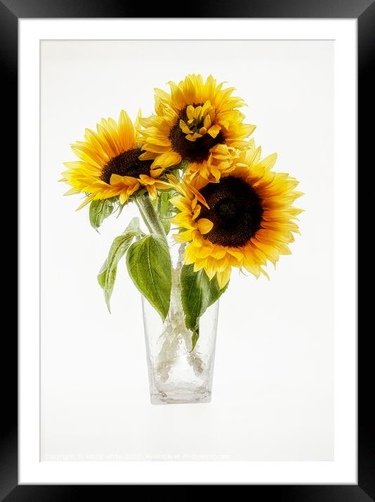 Sunflowers in a vase looking sunny Sunflower Framed Mounted Print by kathy white