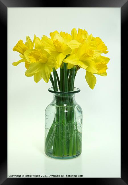 daffodil,Cornish Daffodils,  spring is here,Flora, Framed Print by kathy white
