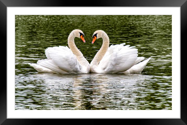  Swans, Swans Sweetheart love Framed Mounted Print by kathy white