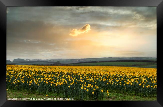 Daffodils fields,yellow daffodil Framed Print by kathy white