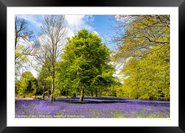Enchanting Cornwall Bluebell Forest Framed Mounted Print by kathy white