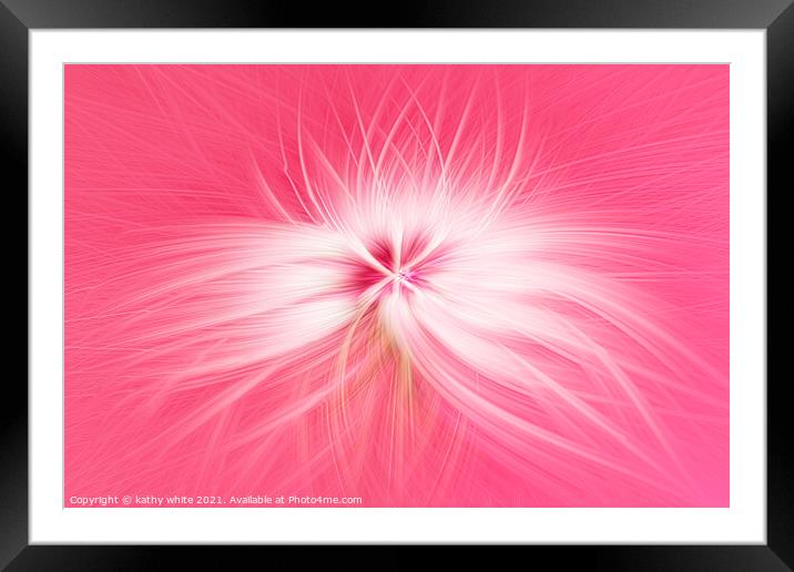 Dandelion  seed head on a pink background  Framed Mounted Print by kathy white