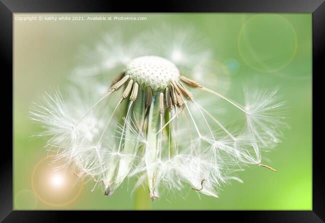 dandelion seed,Flower Photography,floral art Framed Print by kathy white
