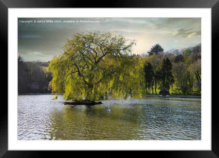 Weeping willow,Portrait of a tree on a lake, Framed Mounted Print by kathy white