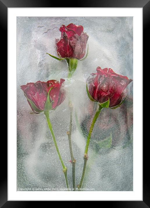 frozen roses water and ice,floral art,garden rose Framed Mounted Print by kathy white
