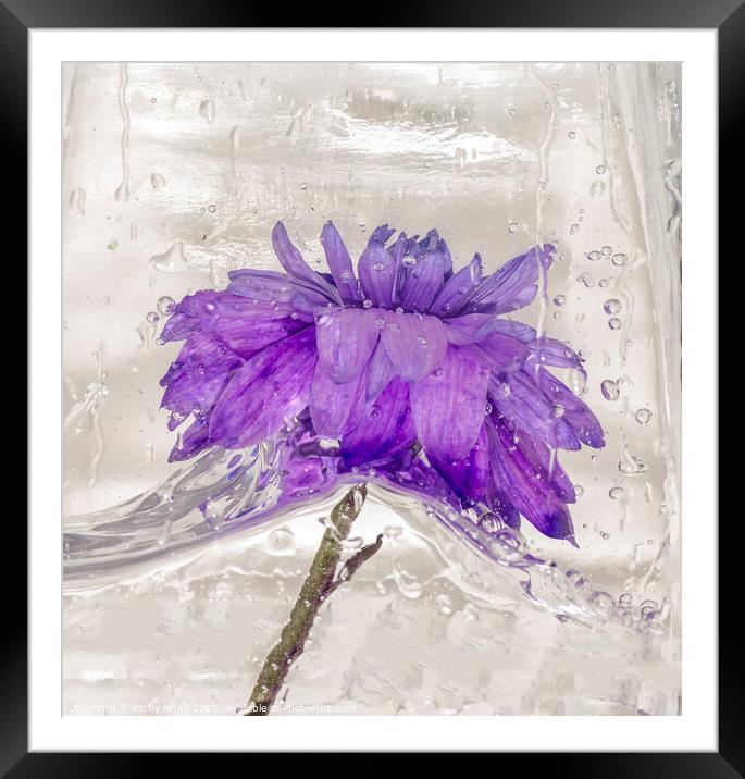 Flowers water and ice in frozen water purple Framed Mounted Print by kathy white