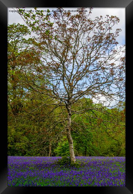 Bluebell woods Cornwall mother's day Framed Print by kathy white