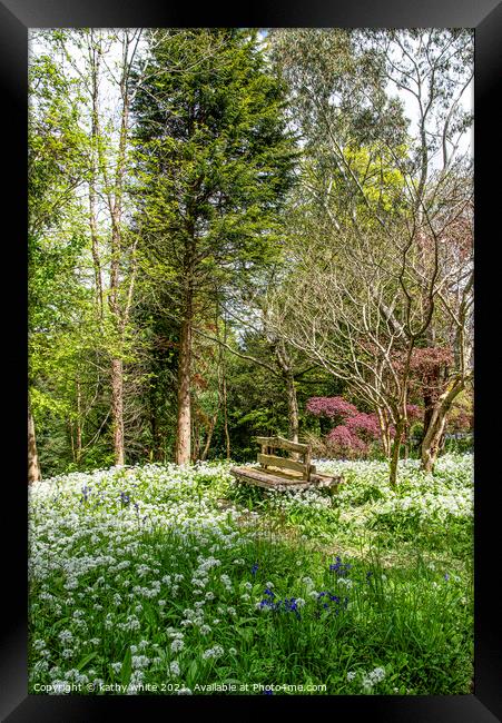 Wild garlic,  White Flowers,woods,A lovely place  Framed Print by kathy white