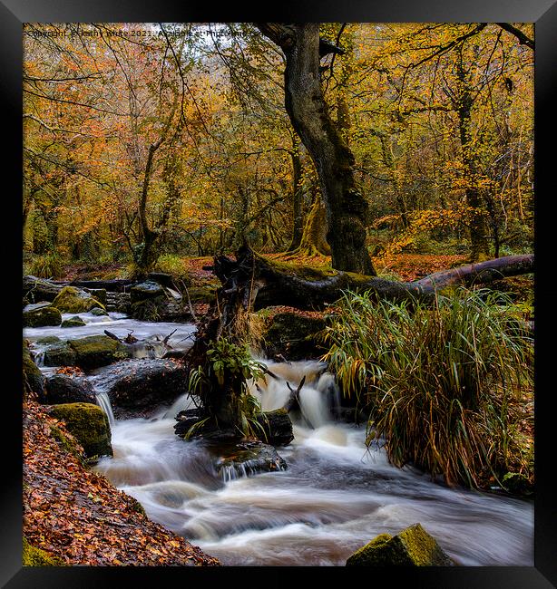  autumn woods, long exposure cornwall  Framed Print by kathy white