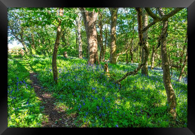 English Bluebell Wood, Cornwall,Bluebell Wood Framed Print by kathy white