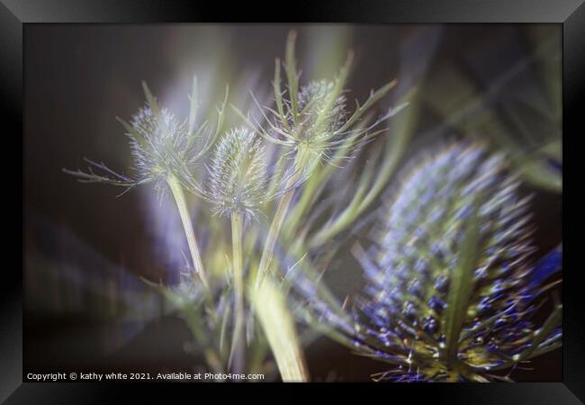 Sea Holly, enchanting blue flowers,Double exposure Framed Print by kathy white