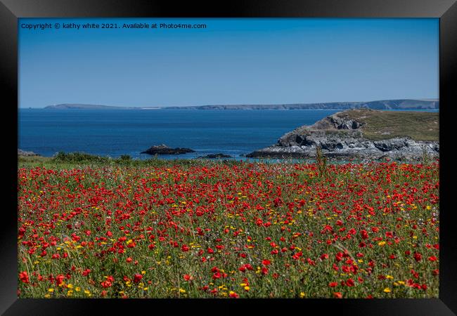 West Pentire ,red poppies,Crantock Beech,  Framed Print by kathy white