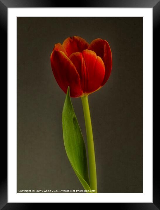 tulip,beautiful Red Tulip Flower Framed Mounted Print by kathy white