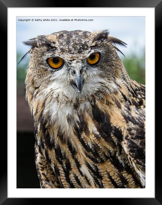 Majestic Eurasian Eagle Owl Framed Mounted Print by kathy white