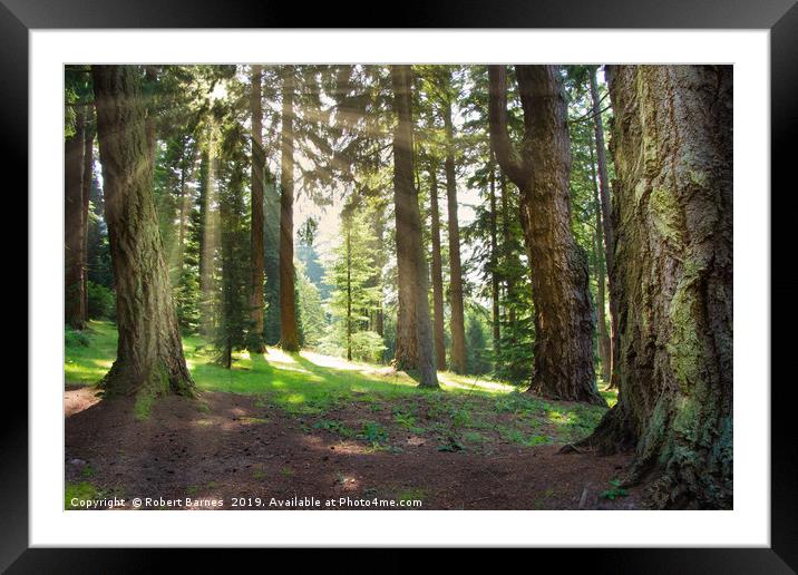 The Magical Forest Framed Mounted Print by Lrd Robert Barnes