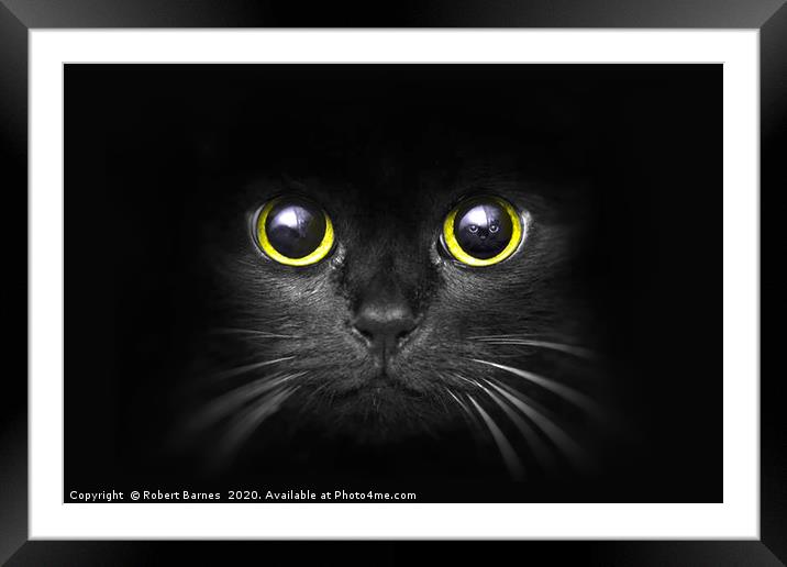Dark Predator Framed Mounted Print by Lrd Robert Barnes