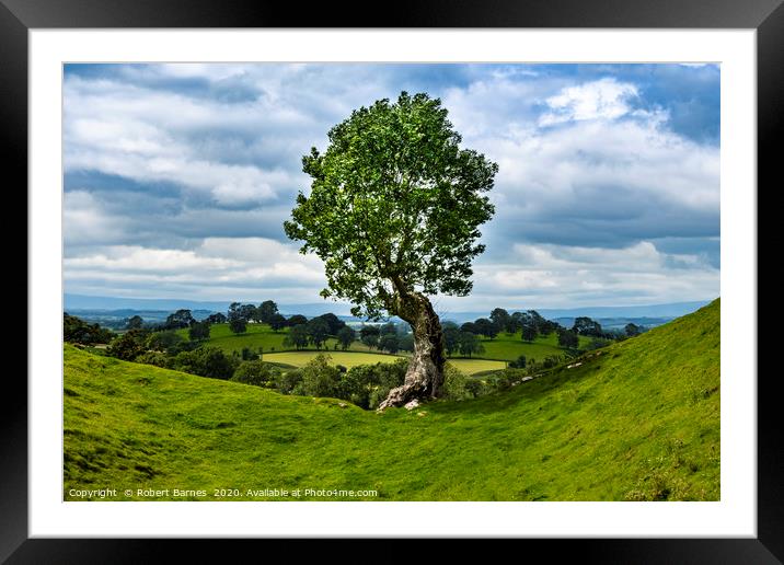 The Lonely Tree Framed Mounted Print by Lrd Robert Barnes