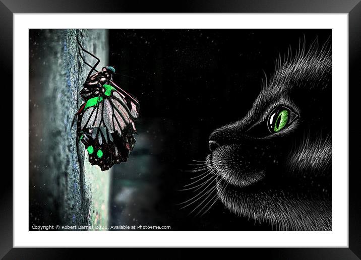 The Cat and the Butterfly Framed Mounted Print by Lrd Robert Barnes