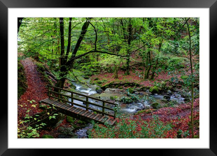 Forest Walk Framed Mounted Print by Clive Rees