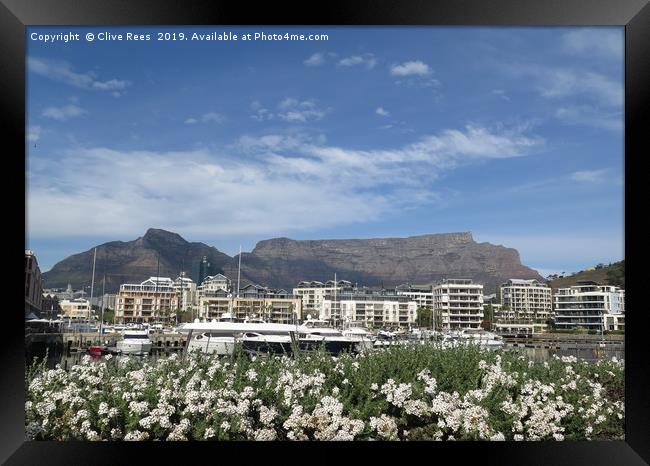 Cape Town Framed Print by Clive Rees