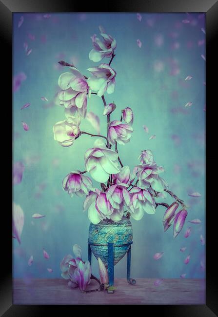 Magnolia Stillife Framed Print by Steffen Gierok-Latniak