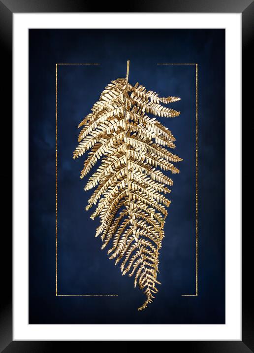Golden fern Framed Mounted Print by Steffen Gierok-Latniak