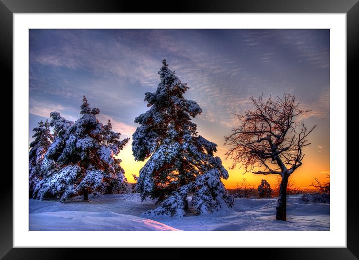 Winter Sun Framed Mounted Print by Steffen Gierok-Latniak