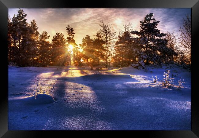 Winter Sunrise Framed Print by Steffen Gierok-Latniak