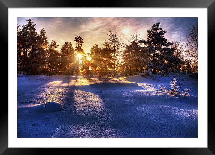 Winter Sunrise Framed Mounted Print by Steffen Gierok-Latniak